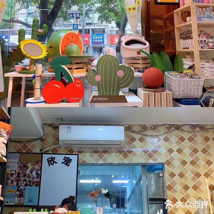 一家有温度的宠物医院🐈欣宠宠物🦮