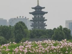 -洋湖国家湿地公园