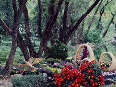 -上海共青森林公园