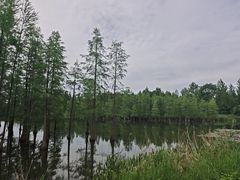 -白鹭湾湿地公园