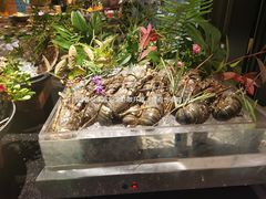 -杭州桐庐康莱德酒店西餐厅-舍