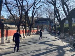 -北京国子监胡同