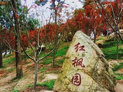 -广州市帽峰山景区