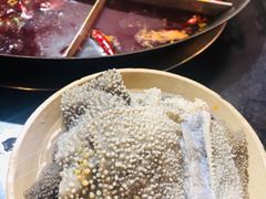 -肥龙火锅(南坪店)