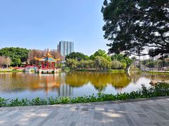-金砂公园