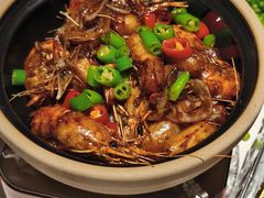 -新白鹿餐厅(城西银泰城店)