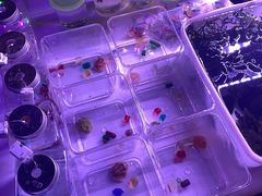 -华声天桥民俗文化园