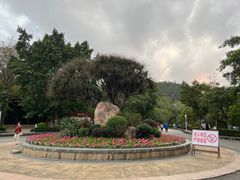 -滴水岩森林公园