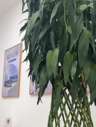 -天津伊美尔医疗整形美容专科医院