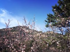 -云峰山自然风景区