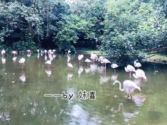 -广州动物园
