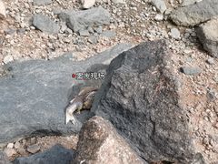 -深圳湾公园(南山区)