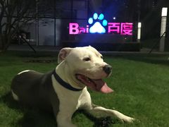 -深圳湾创业广场