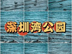 -深圳湾公园(南山区)