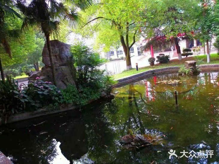 河南牧业经济学院(龙子湖校区)图片