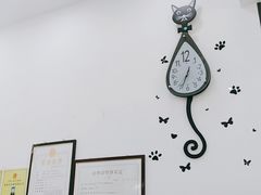 -中农国际动物医院24小时·猫科·骨科·急重症中心