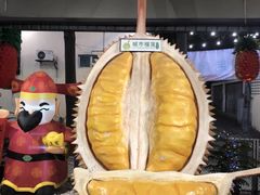 -都念榴莲·城市榴莲