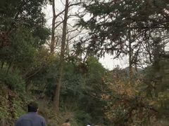 -北仑森林植物园