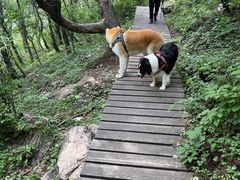 -灵山