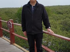 -北海金海湾红树林生态旅游区