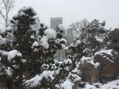 -西海子公园