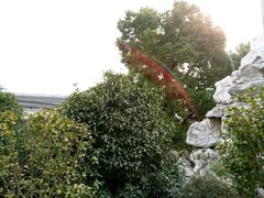 -口岸雕花楼