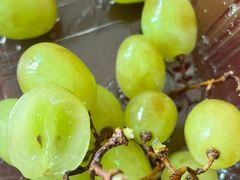 -硕果水果大排档(龙湖好城时光店)