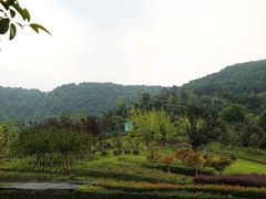 -铁山坪森林公园