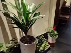 -鸽舞笙平金牌烧鸽子·融合菜(鲁谷店)