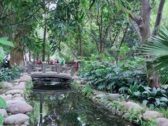 -成都市活水公园