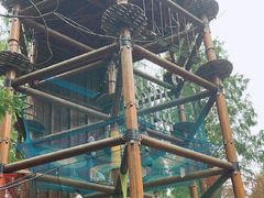 -黄海国家森林公园