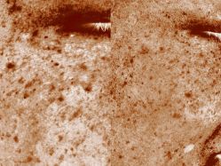 -和颜一美轻医美连锁