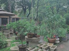 -谷咖啡·鲜花绿植花园餐厅
