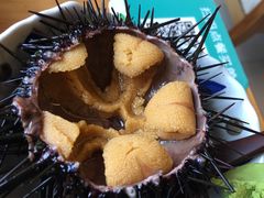 -和风日本料理(腾飞园店)