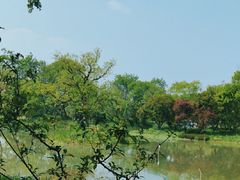 -西溪国家湿地公园