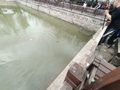 -尚庄度假村·庭台树下·户外烧烤·团建CS·轰趴营地(上庄水库店)