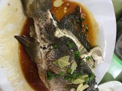 清蒸石蚌-秋姐美食店(旅游大道店)