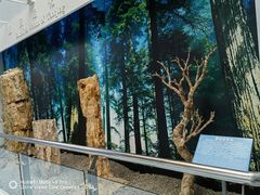 -延庆地质公园博物馆