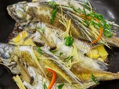 -阳江餐厅·30年老字号·粤菜海鲜大排档