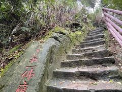 -大金鹰园