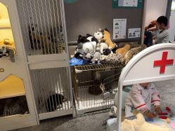 -奈尔宝·儿童乐园·亲子餐厅(华采天地店)