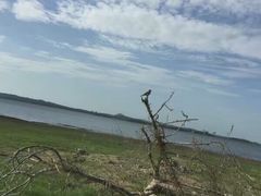 -米内日亚国家公园