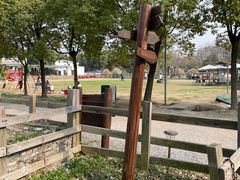 -田园东方蜜桃村的田野营地
