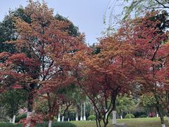 -龙头寺公园