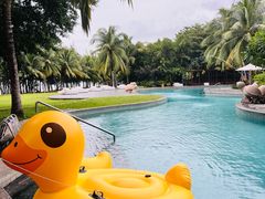 -海南清水湾莱佛士酒店