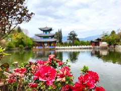 -黑龙潭公园
