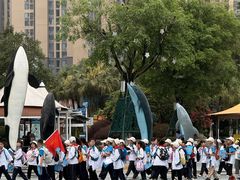 -海合安成都极地海洋公园