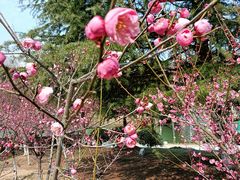 -白塘生态植物园
