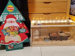 -盒马鲜生(大成店)