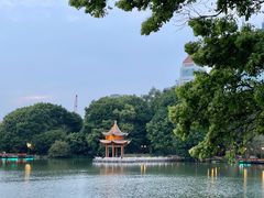 -西湖公园(鼓楼区)